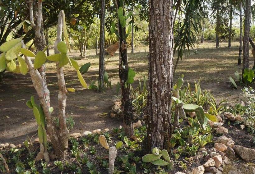 호텔 Pine Ridge Lodge