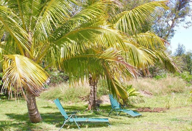 Пансион Hostal Harepakoba