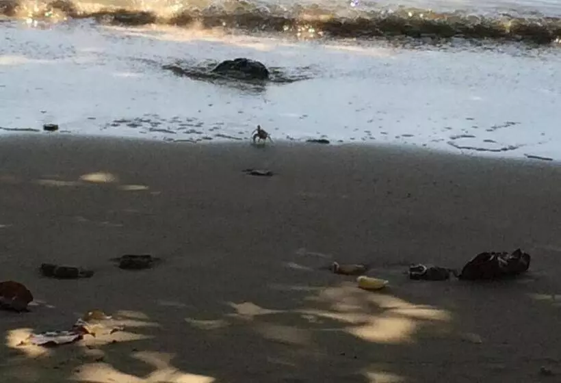 Majatalo Namtok Bungalows