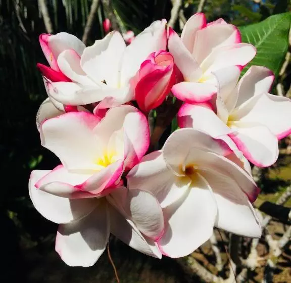 Majatalo Namtok Bungalows