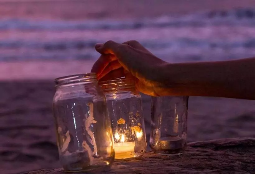 Majatalo Palmares Del Francés