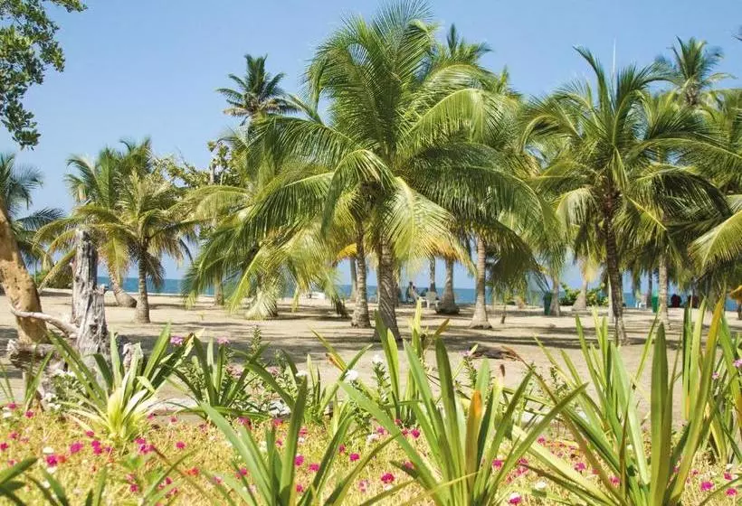 Majatalo Palmares Del Francés