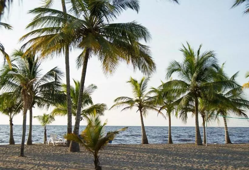 Majatalo Palmares Del Francés