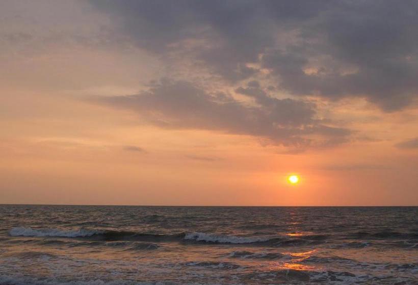 پانسیون Palmares Del Francés