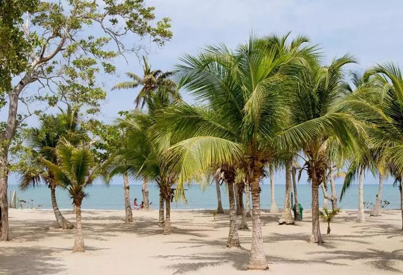 Majatalo Palmares Del Francés