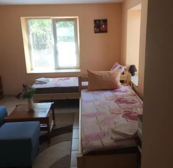 ペンション Guest House Nadezhda