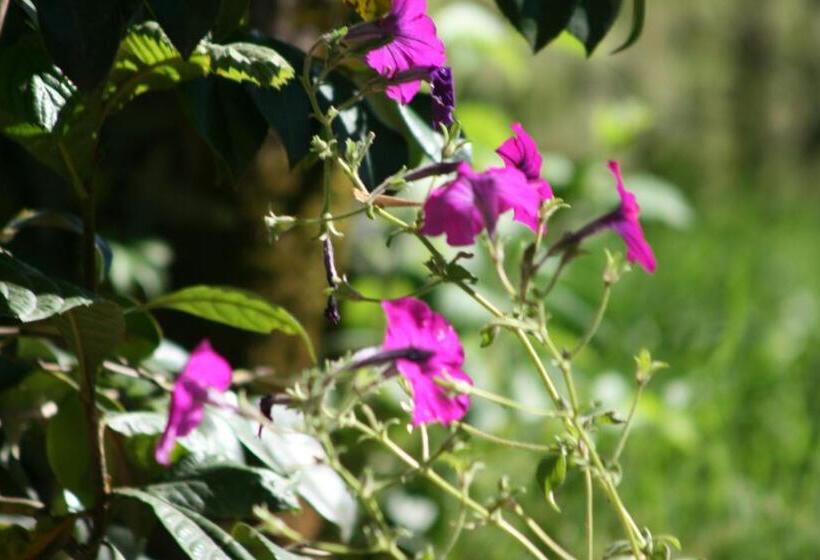 پانسیون Villa Gelati