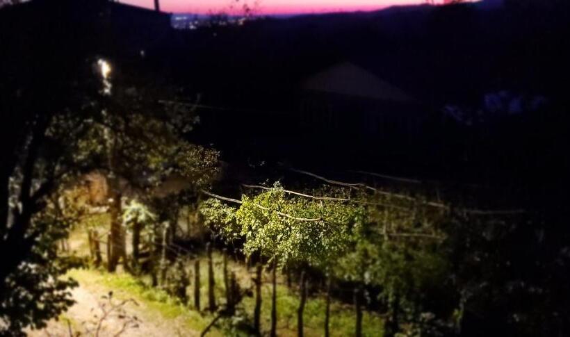 پانسیون Villa Gelati