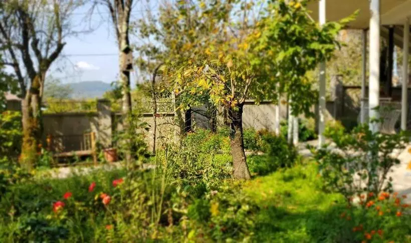 پانسیون Villa Gelati