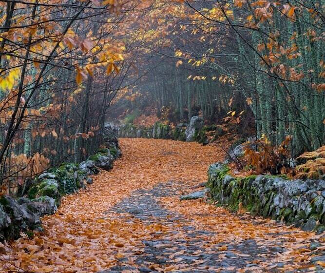 هتل Elrei Dom Manuel