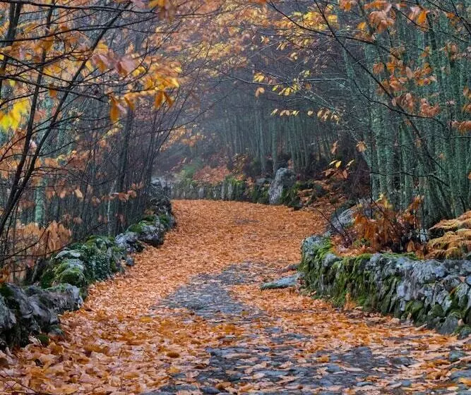 Otel Elrei Dom Manuel