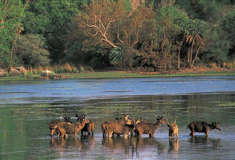 فندق The Oberoi Vanyavilas Wildlife Resort, Ranthambhore