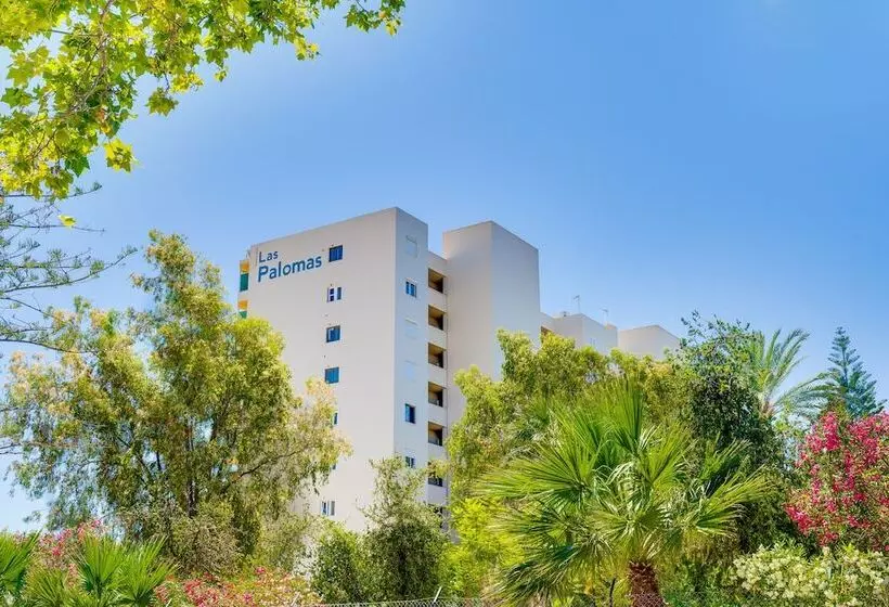 Las Palomas Apartments Econotels