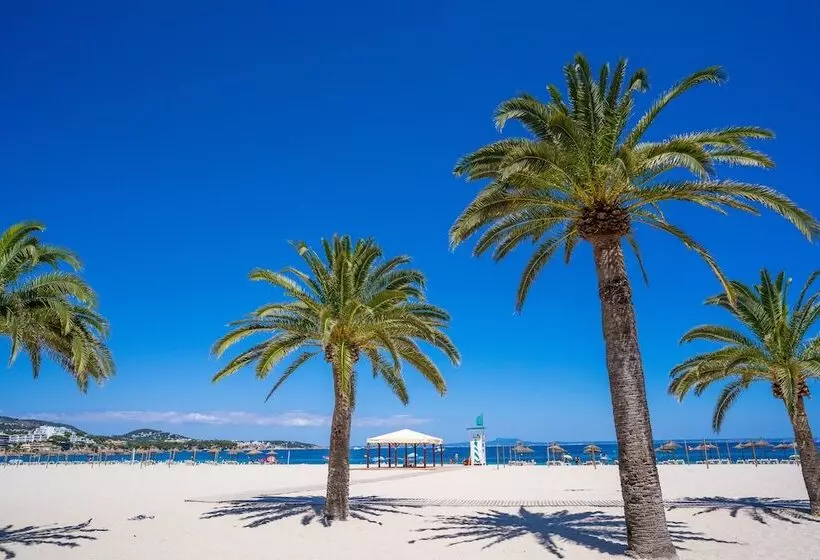 Las Palomas Apartments Econotels