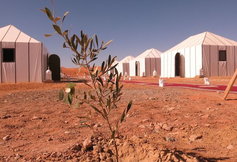 فندق Mirage Luxury Camp