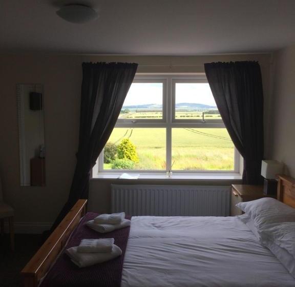 فندق صغير The Island View Inn