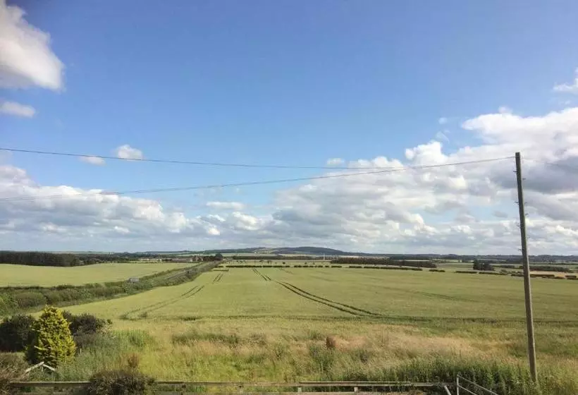 هاستل The Island View Inn