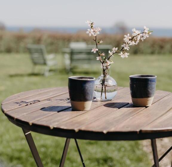 تختخواب و صبحانه Sköllengården