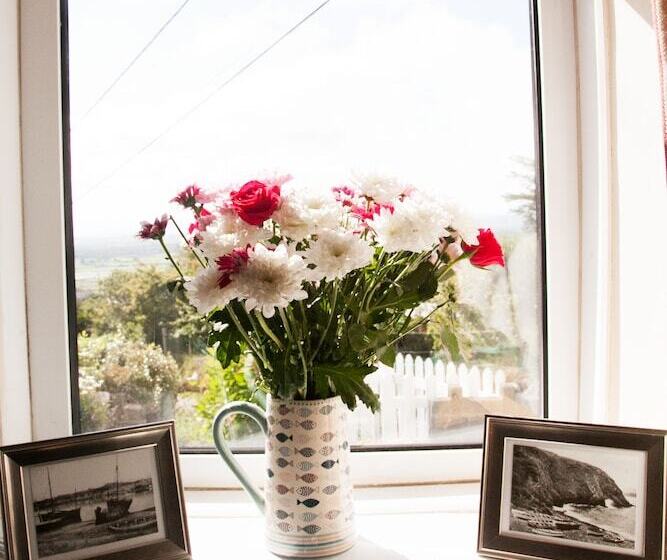 Arallt Holiday Cottage