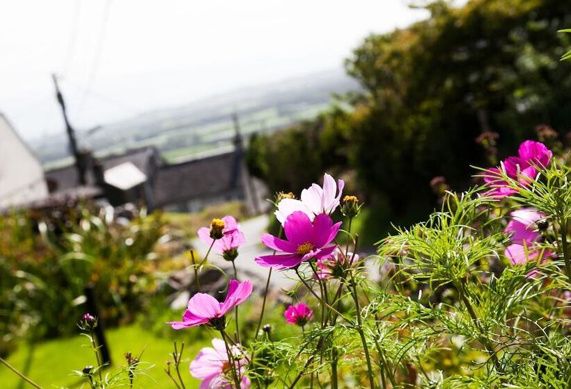 Arallt Holiday Cottage