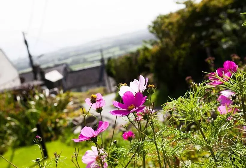 Arallt Holiday Cottage