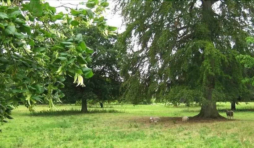 Aamiaismajoitus (B&B) Apple Tree Cottages