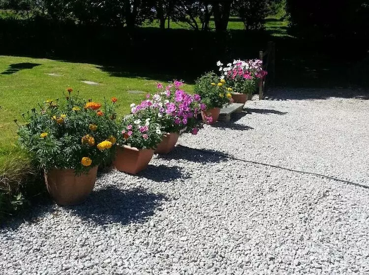 Bed and Breakfast Rosmerryn