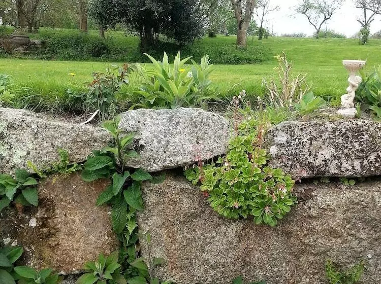 Bed and Breakfast Rosmerryn