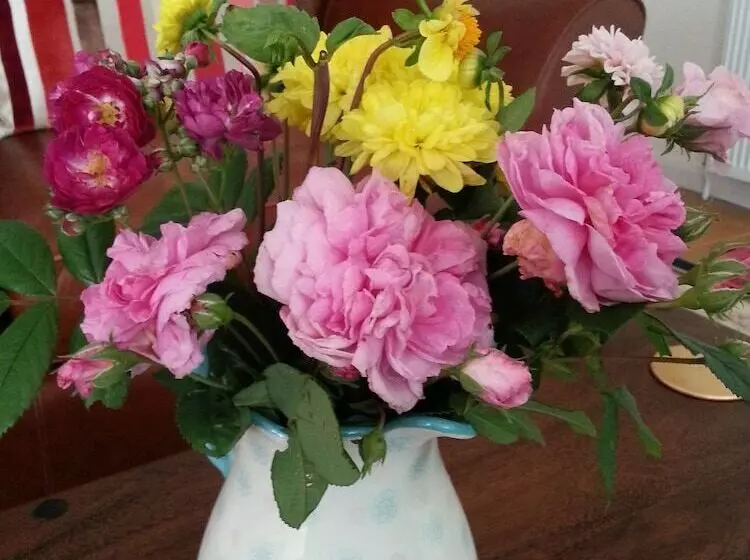 Bed and Breakfast Rosmerryn