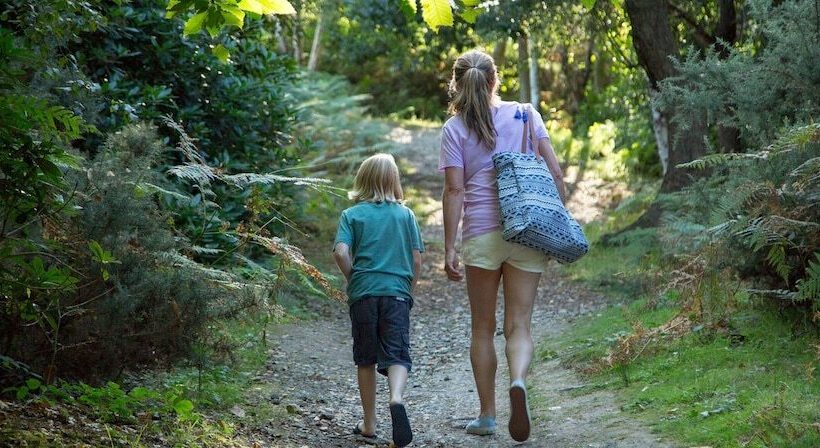 فندق Knoll House