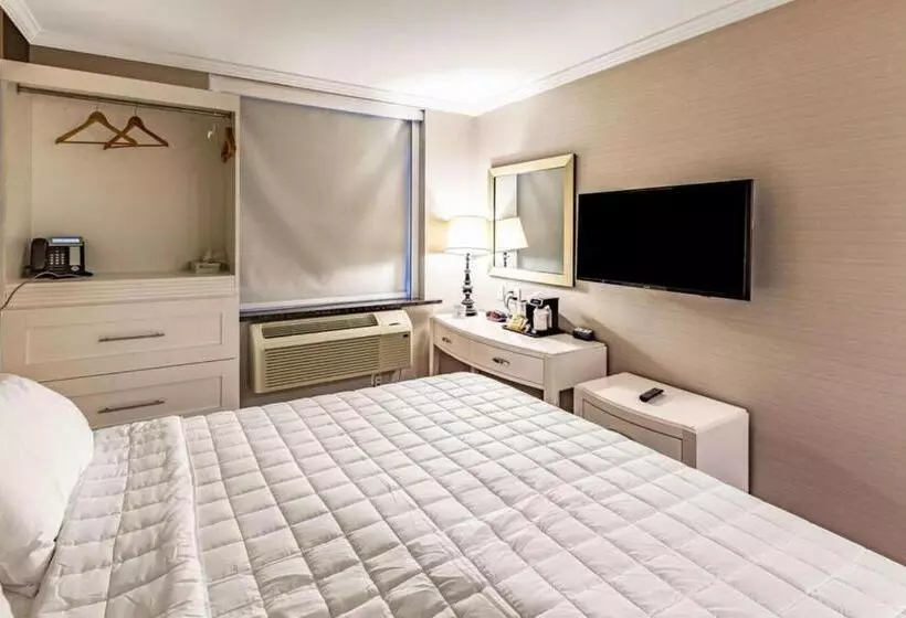Umbrella Hotel Brooklyn