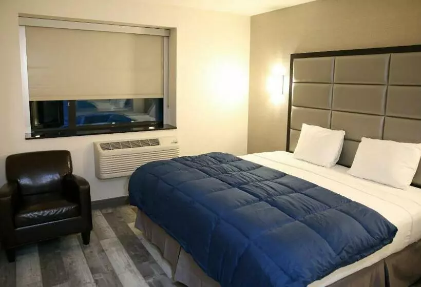 Umbrella Hotel Brooklyn
