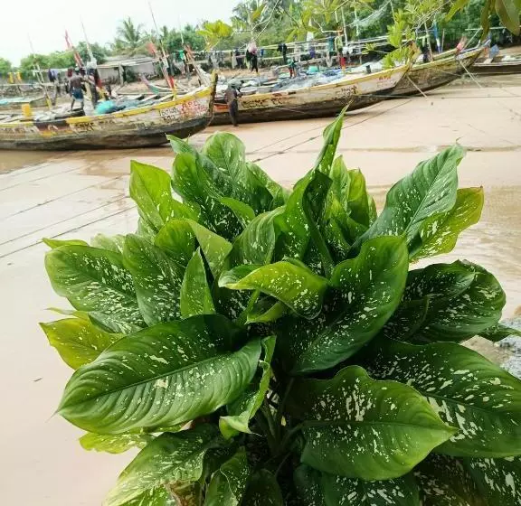 Retkeilymaja Scorpion Hill Lodge