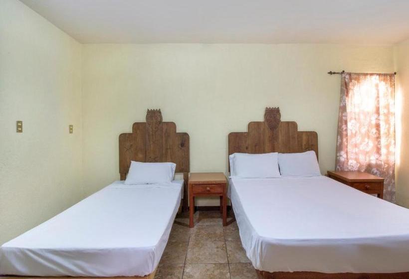 Отель Capital O Camelot