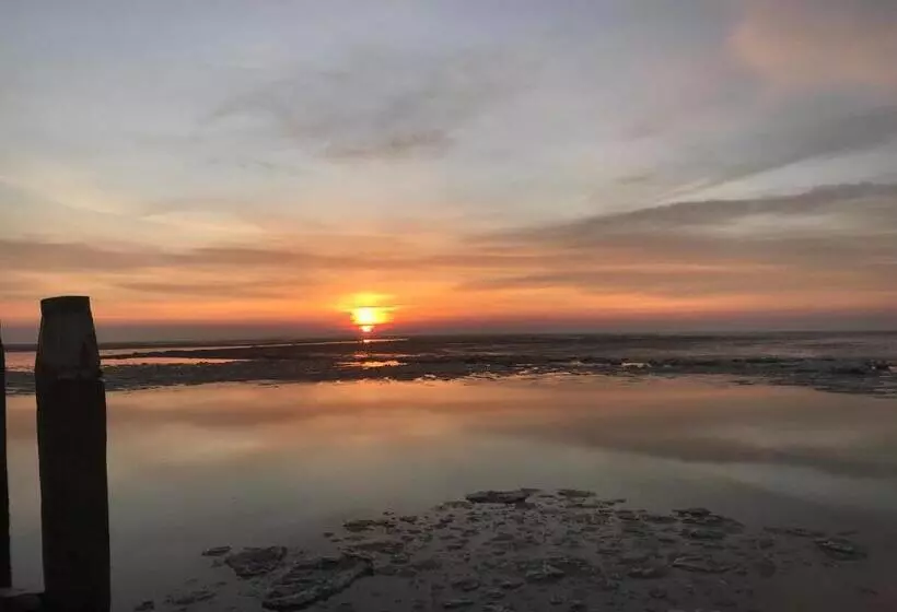 ホテル Om De Noord   Beach, Bed & Breakfast