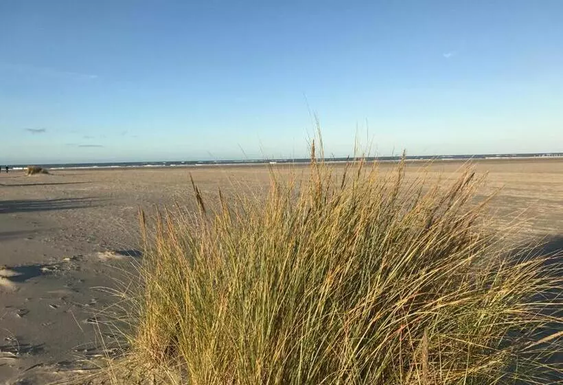 ホテル Om De Noord   Beach, Bed & Breakfast