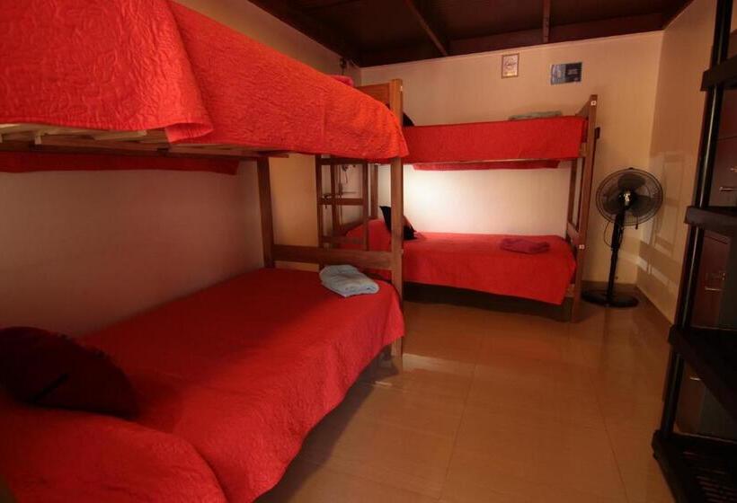 Anka Hostel