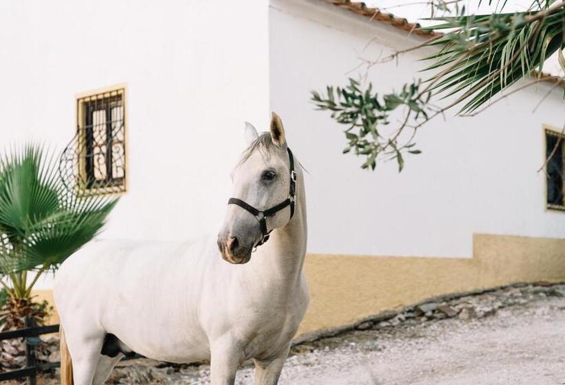 Отель Herdade D. Pedro