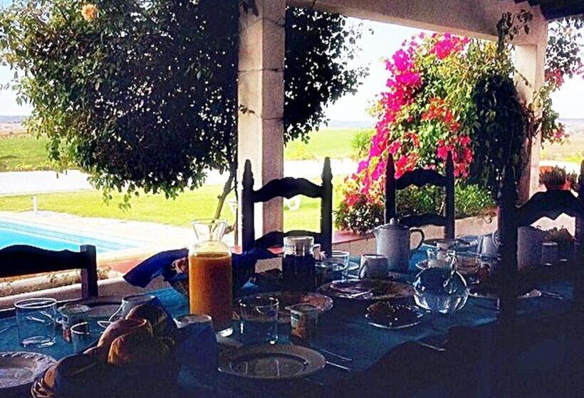 Отель Herdade D. Pedro