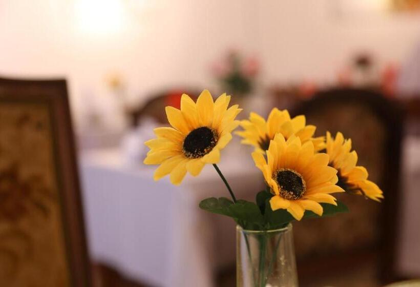 فندق Park Center