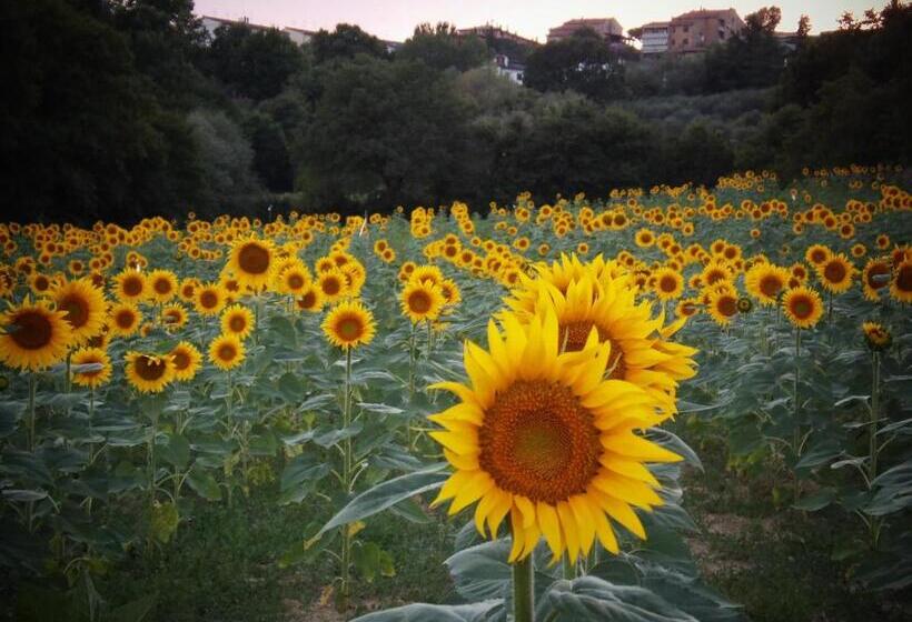 فندق Agriturismo La Capacciola