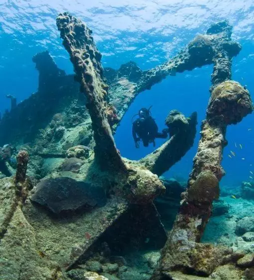 Hotelli Puerto Lobos Dive Camp