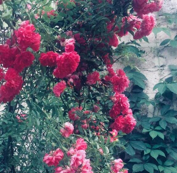 بنسيون Anna B&b