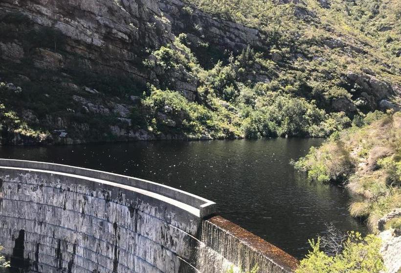 פנסיון Bird's View