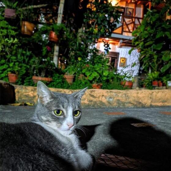 פנסיון Hospedaje El Jardín