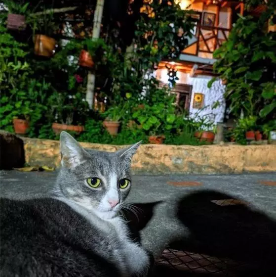 Majatalo Hospedaje El Jardín