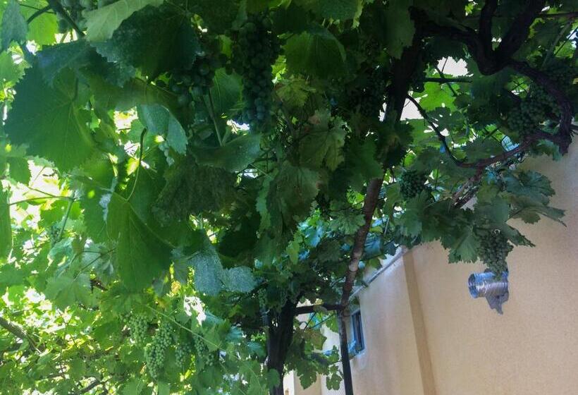 پانسیون Guest House Gelit