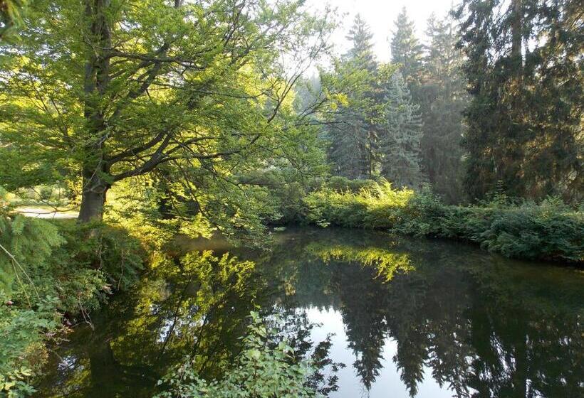 ペンション Kurheim Haus Linde