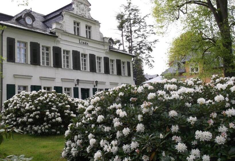 ペンション Kurheim Haus Linde