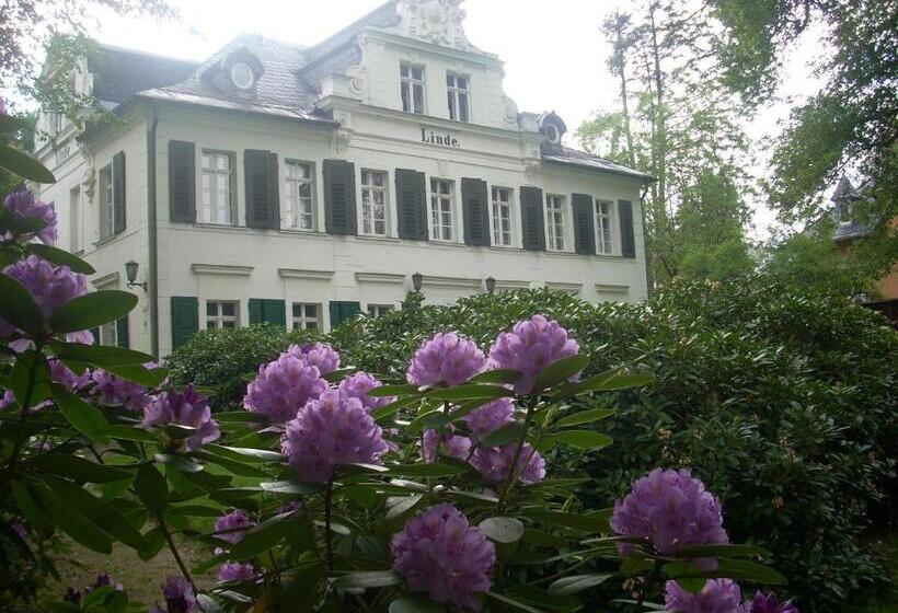 ペンション Kurheim Haus Linde